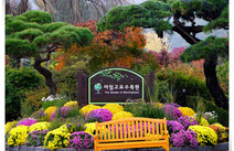 오피스타 가평아침고요수목원